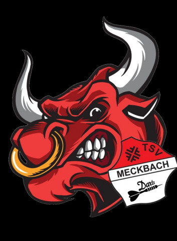 Mannschaft: TSV Meckbach Darts 1